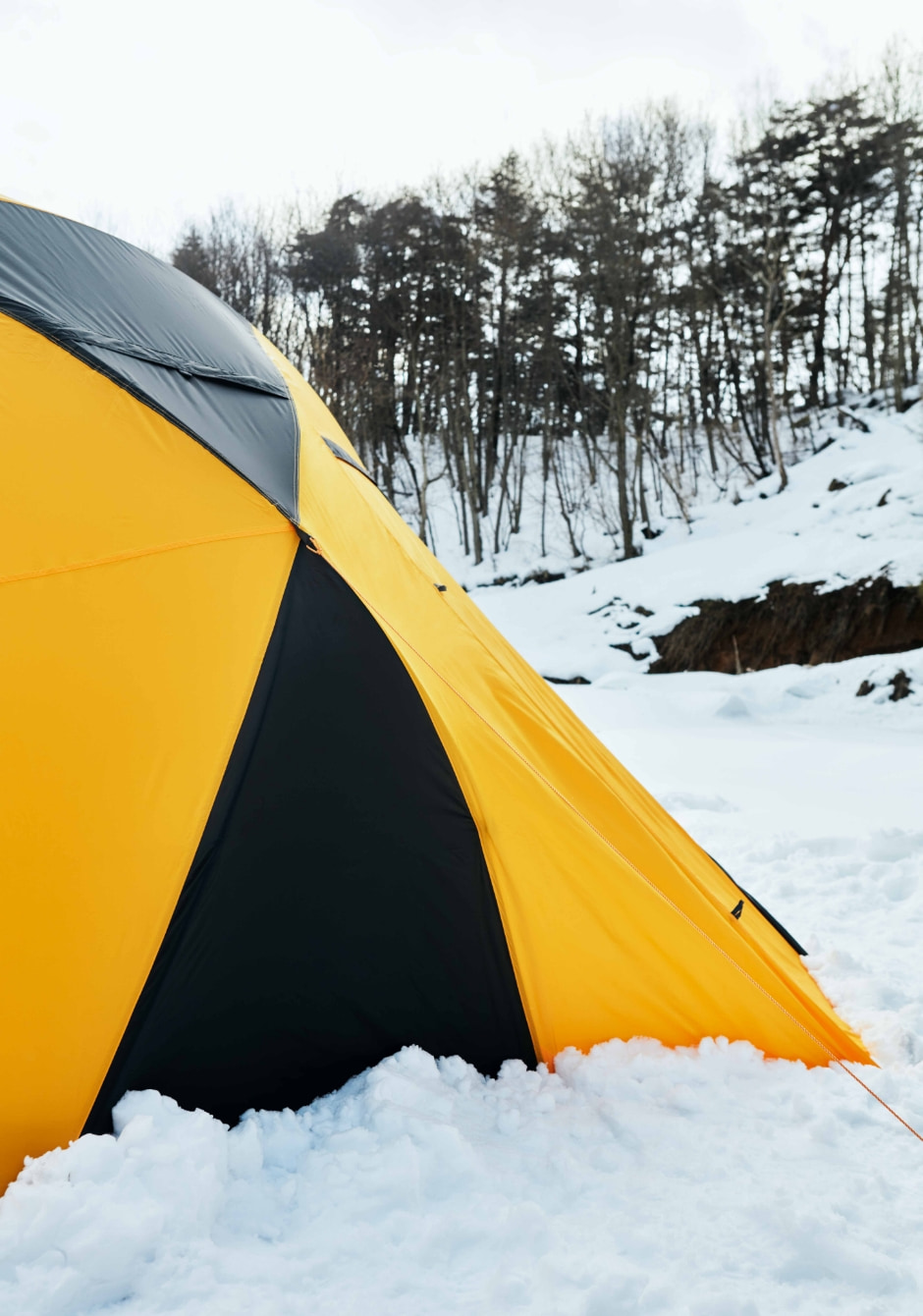 Dome 5 | Online Camp Store | THE NORTH FACE CAMP