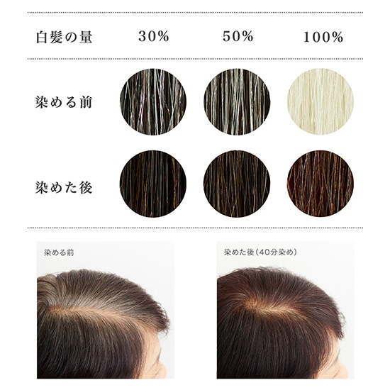 GAIAネットナイアード ヘナ+木藍 黒茶系 徳用400g(400g): ヘアケア