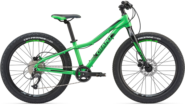 2019 GIANT Bicycles | XTC JR 20 LITE