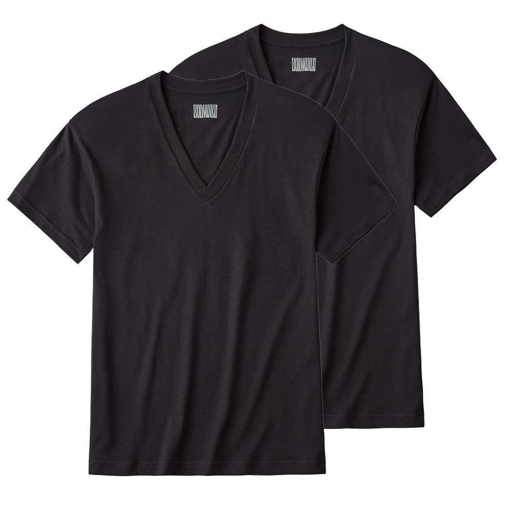 VネックTシャツ（2枚組） BW5025C :メンズ トップス