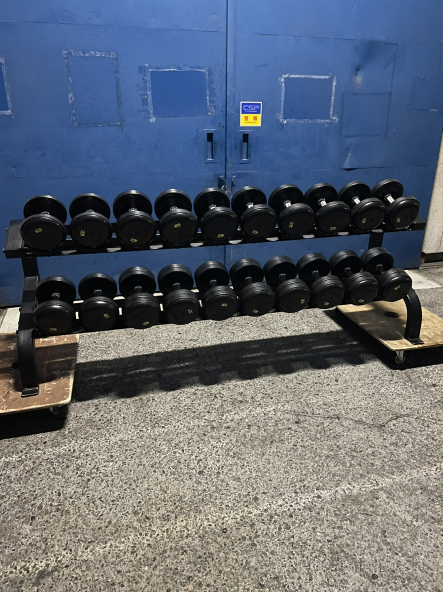 2段ダンベルラックセット（SDKRダンベル12～30kg）（中古）（IVANKO