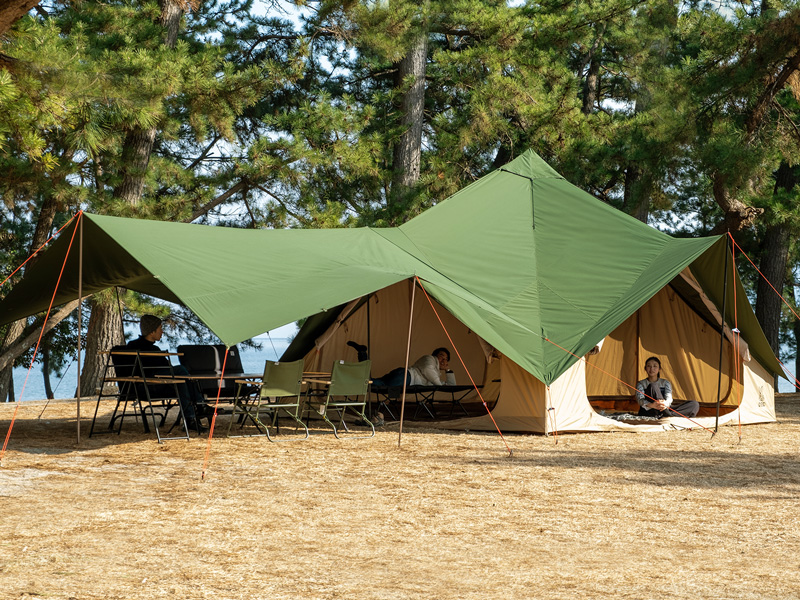 こてっちゃんページ】ツクツクベース＋ヒレタープ フルセット こ