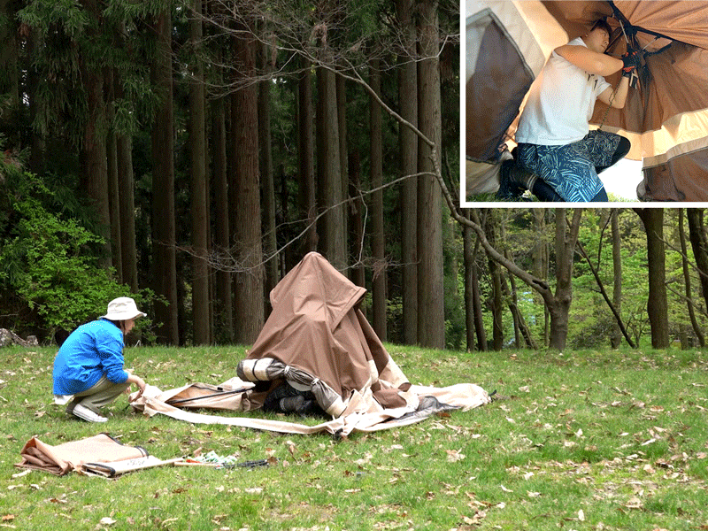 販売終了】おうちテント（ブラウン） T4-825-BR - DOD（ディーオー