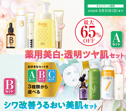 ツインエレナイザーPREMIUM|美顔器・原液美容液のエビス化粧品