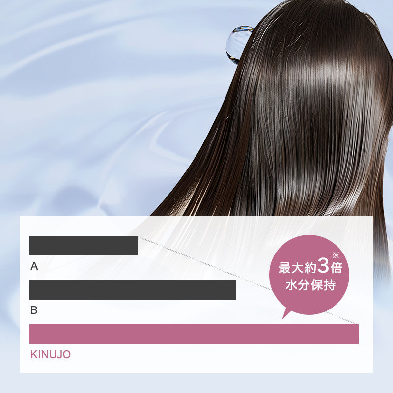 KINUJO SILKPLATE 絹女 シルクプレート ストレートアイロン パール