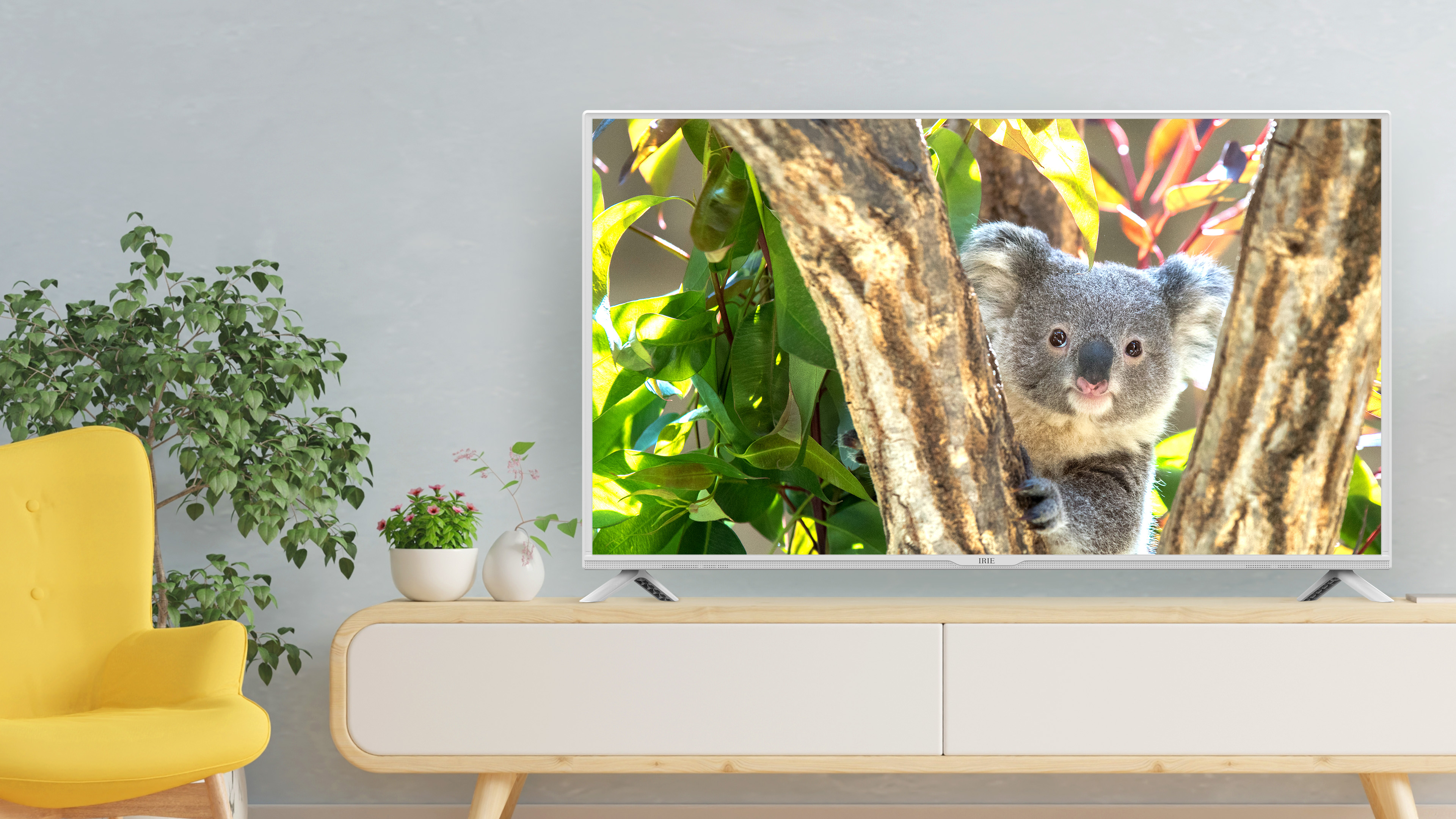 テレビ FFF-TV2K40WWH2 | FFF SMART LIFE CONNECTED株式会社