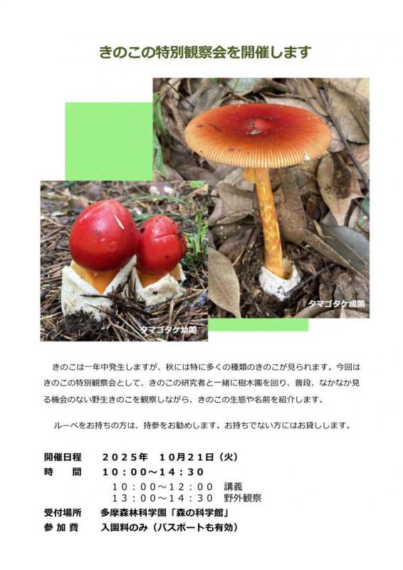 森林総合研究所 多摩森林科学園／きのこの特別観察会（2025年度）