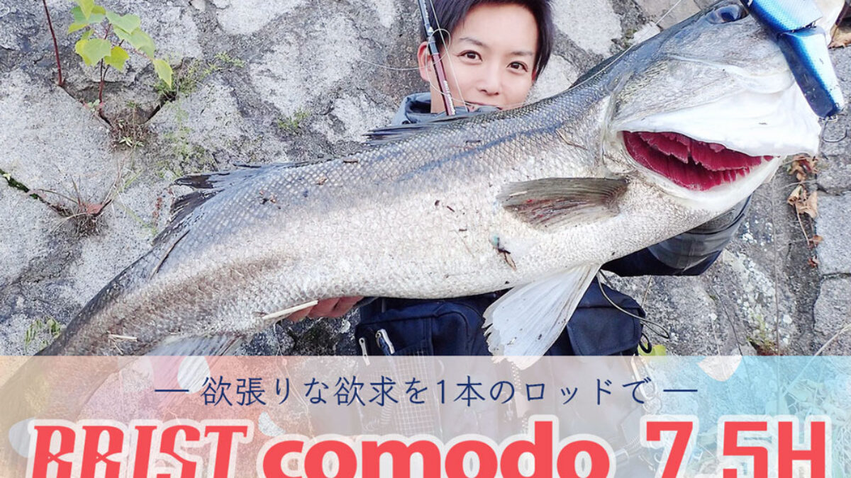 2021NewRod BRIST comodo7.5H - Fishman（フィッシュマン）