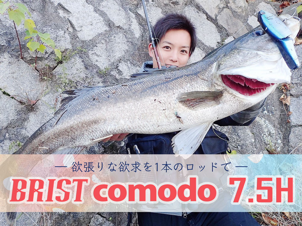 2021NewRod BRIST comodo7.5H - Fishman（フィッシュマン）