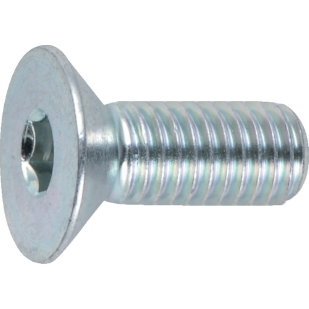 □トラスコ中山(TRUSCO) 六角穴付皿ボルト三価 白 サイズM6X10