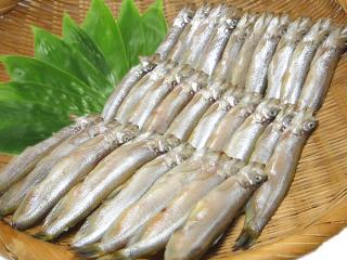 ししゃもの通販・お取り寄せ｜北の魚屋さん