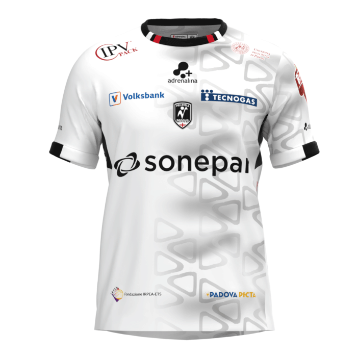 バレーボール イタリア セリエAパッラヴォーロ・パドヴァ 2024-25試合