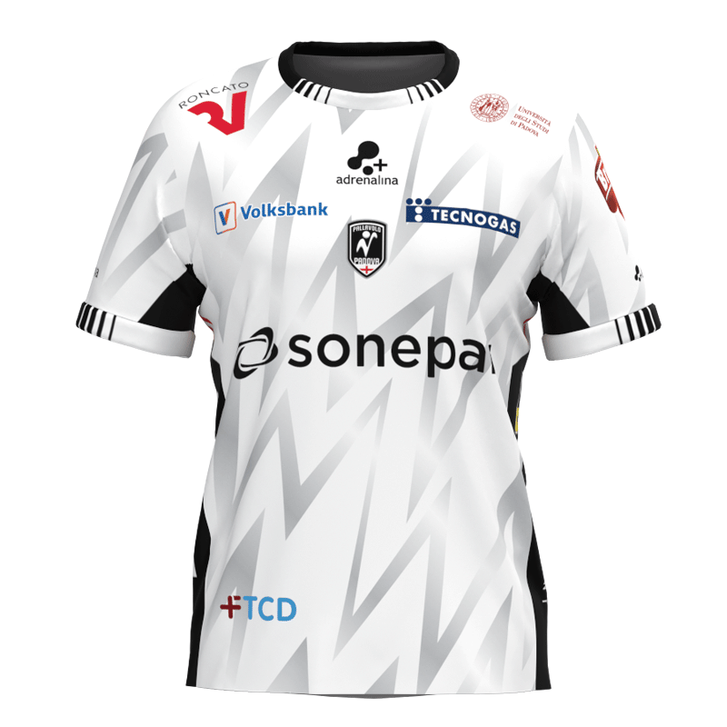 バレーボール イタリア セリエAパッラヴォーロ・パドヴァ 2024-25試合