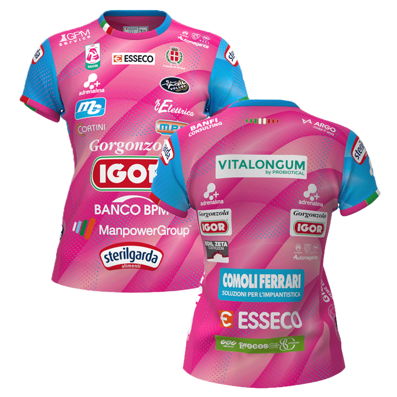 バレーボール イタリア セリエAイゴールバレーノヴァーラ 2024-25試合