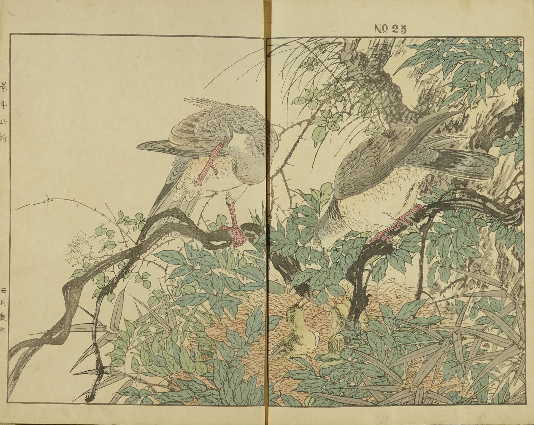 今尾景年 景年花鳥画譜 今尾景年画 4冊揃 明治24年(1891) 初刷 西村総
