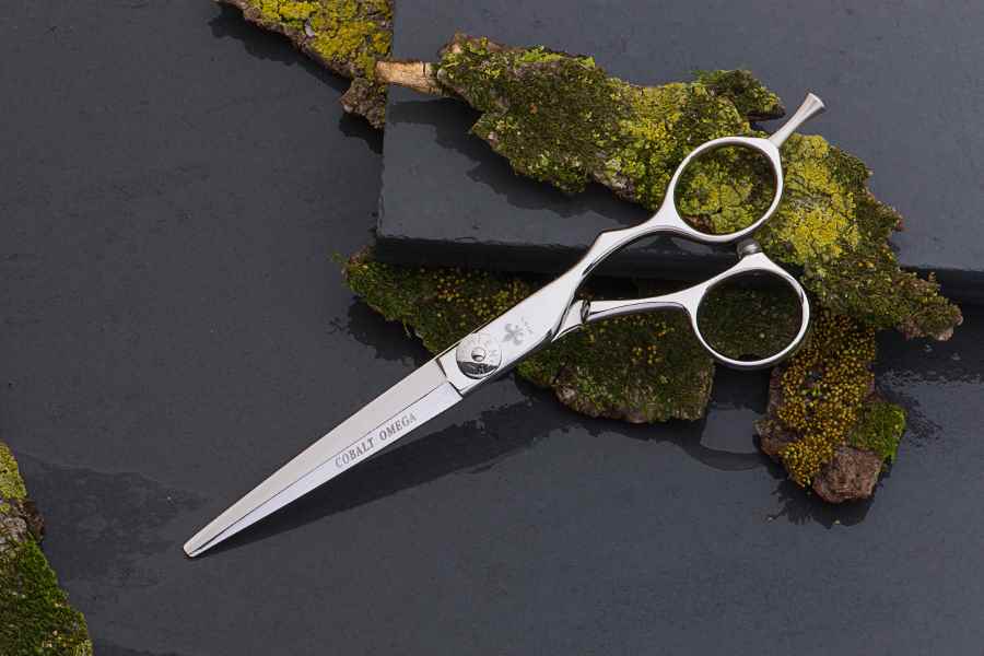 ブログ詳細｜美容ハサミなら飛燕シザー (hien scissors)