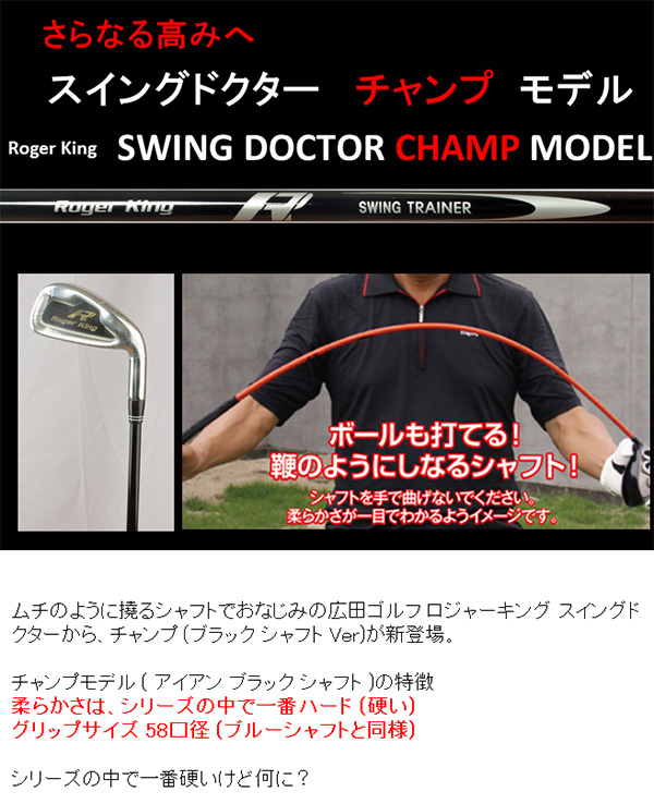 広田ゴルフ ロジャーキング スイングドクター 練習機 ゴルフ練習器具