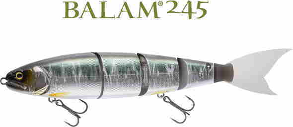 MADNESS / BALAM 245 | IchibanTackle.com
