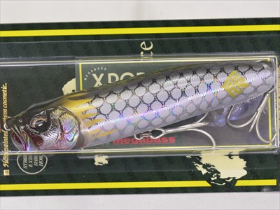 xpod_hakuryu (2).jpg