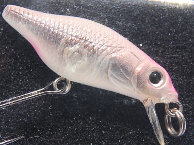 MEGABASS / X-30 MARUKIN (FLOATING) | IchibanTackle.com