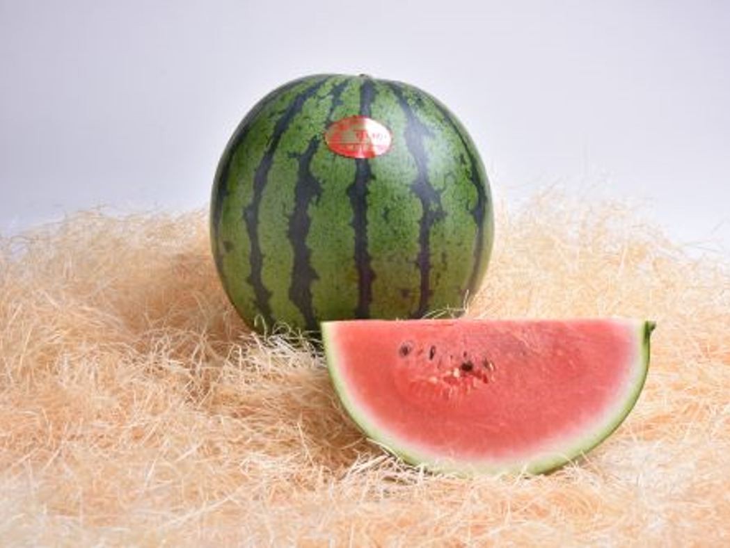 三浦大玉すいか（2個）: JA全農かながわ|【JAタウン】産地直送