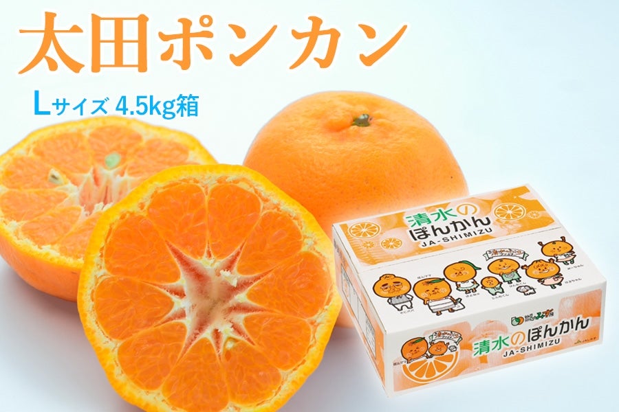 1月8日頃より順次発送】太田ポンカンL 4.5㎏ 箱: JAしみずアンテナ