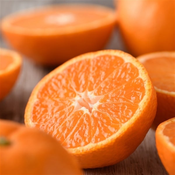 SU－10】温州みかん約10kg（秀S～L）JAおちいまばり