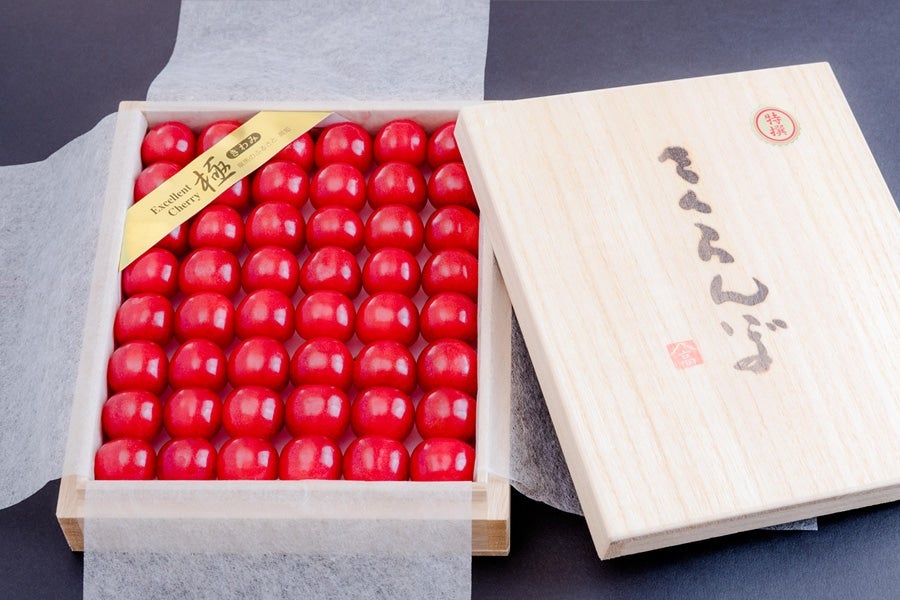 佐藤錦 さくらんぼ 2/16以降に順次発送: とさのさとアグリコレット