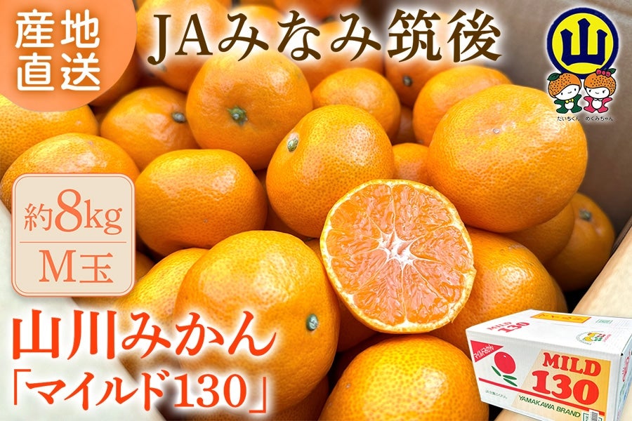 2025年10月予約開始予定】◎JAみなみ筑後 山川みかん『マイルド130』M