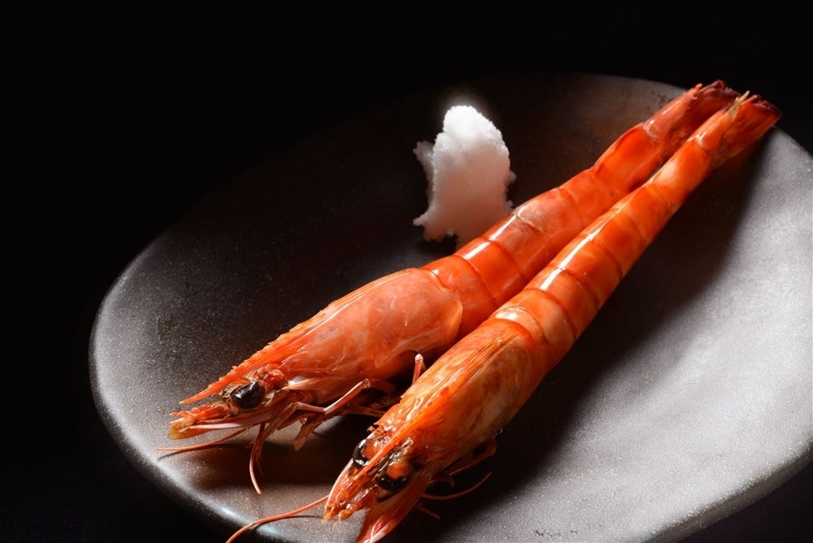 車エビ500g（沖縄・竹富島産）天ぷら フライにおすすめ！: 鮮魚専門店