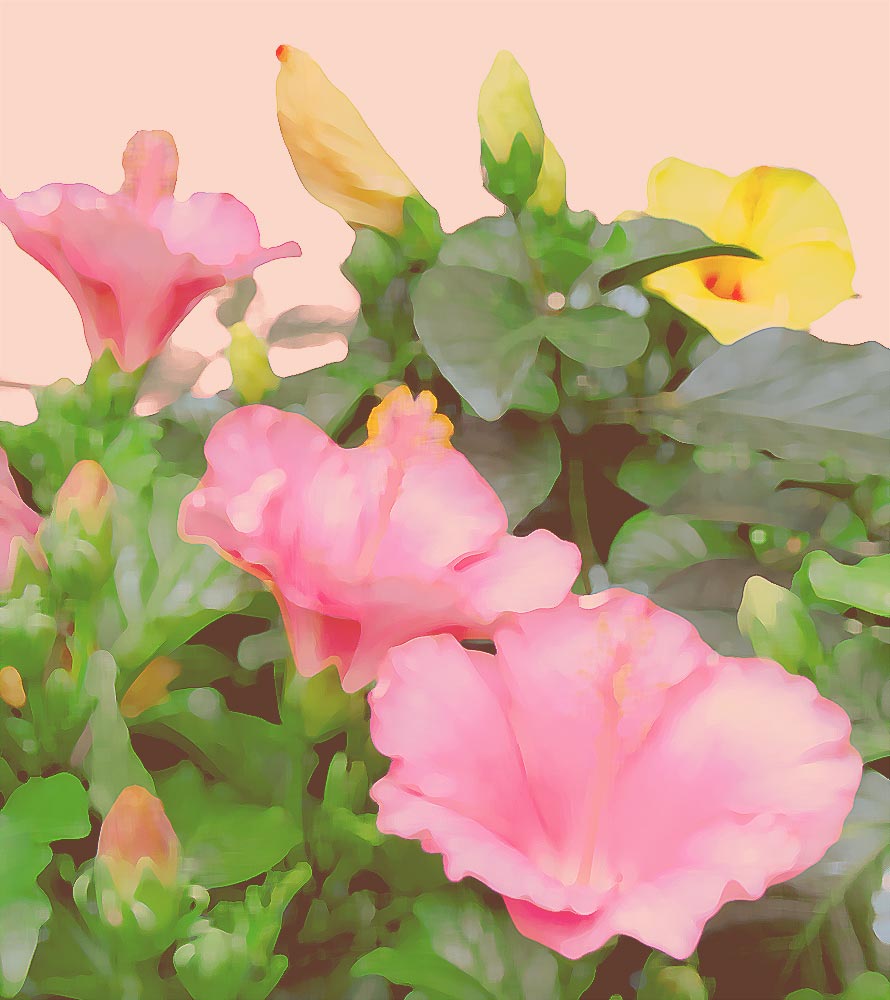 藤田嗣治 エロスの愉しみ PL.9 | 絵画など美術品の販売と買取 | 東京