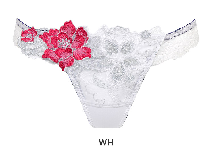 PTJ486｜ワコール サルート 86G Tバックショーツ M/L 下着