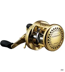 カルカッタ コンクエスト [CALCUTTA CONQUEST] コンクエスト300(右