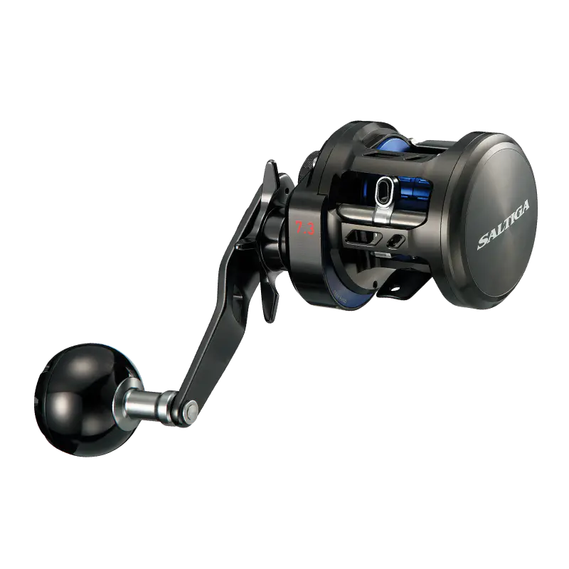 ソルティガBJ200HL左ハンドル - 44,200円 : 海釣り、船釣り専門店の沖