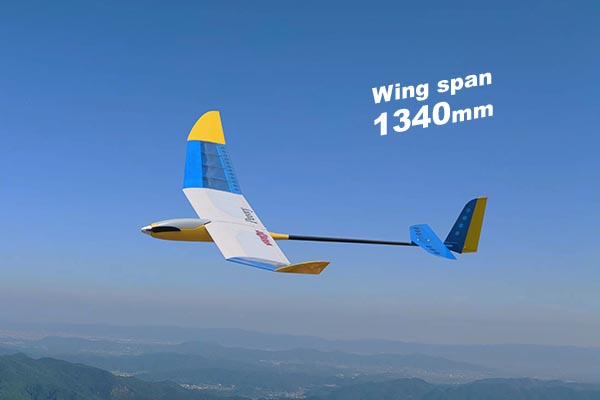 ピオニー ブルー ベーシック | OK MODEL WEB