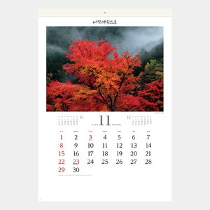 SB-098 川隅功 作品集(彩風)2026年版の名入れカレンダーを格安で販売