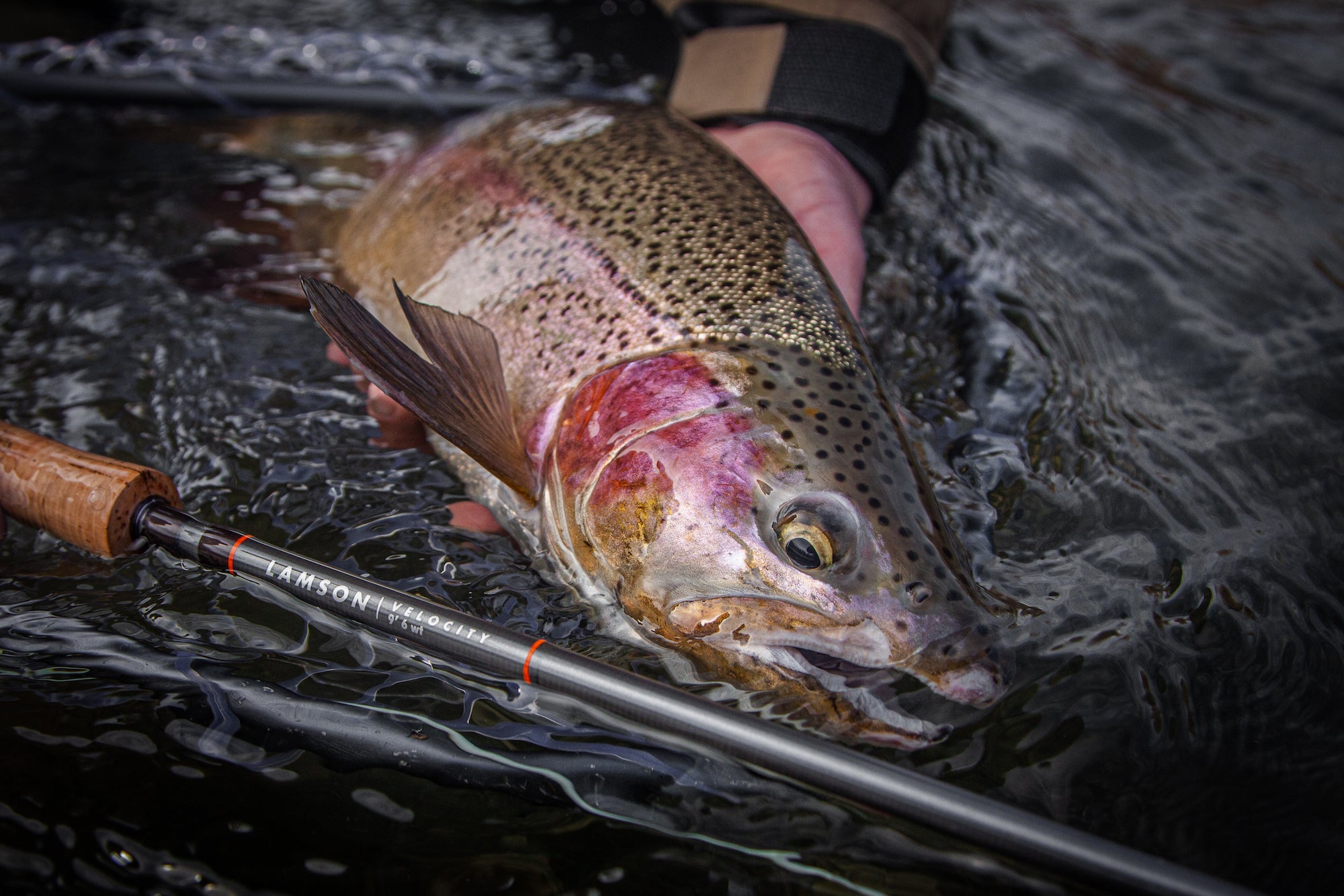 Lamson Velocity Fly Fishing Rod