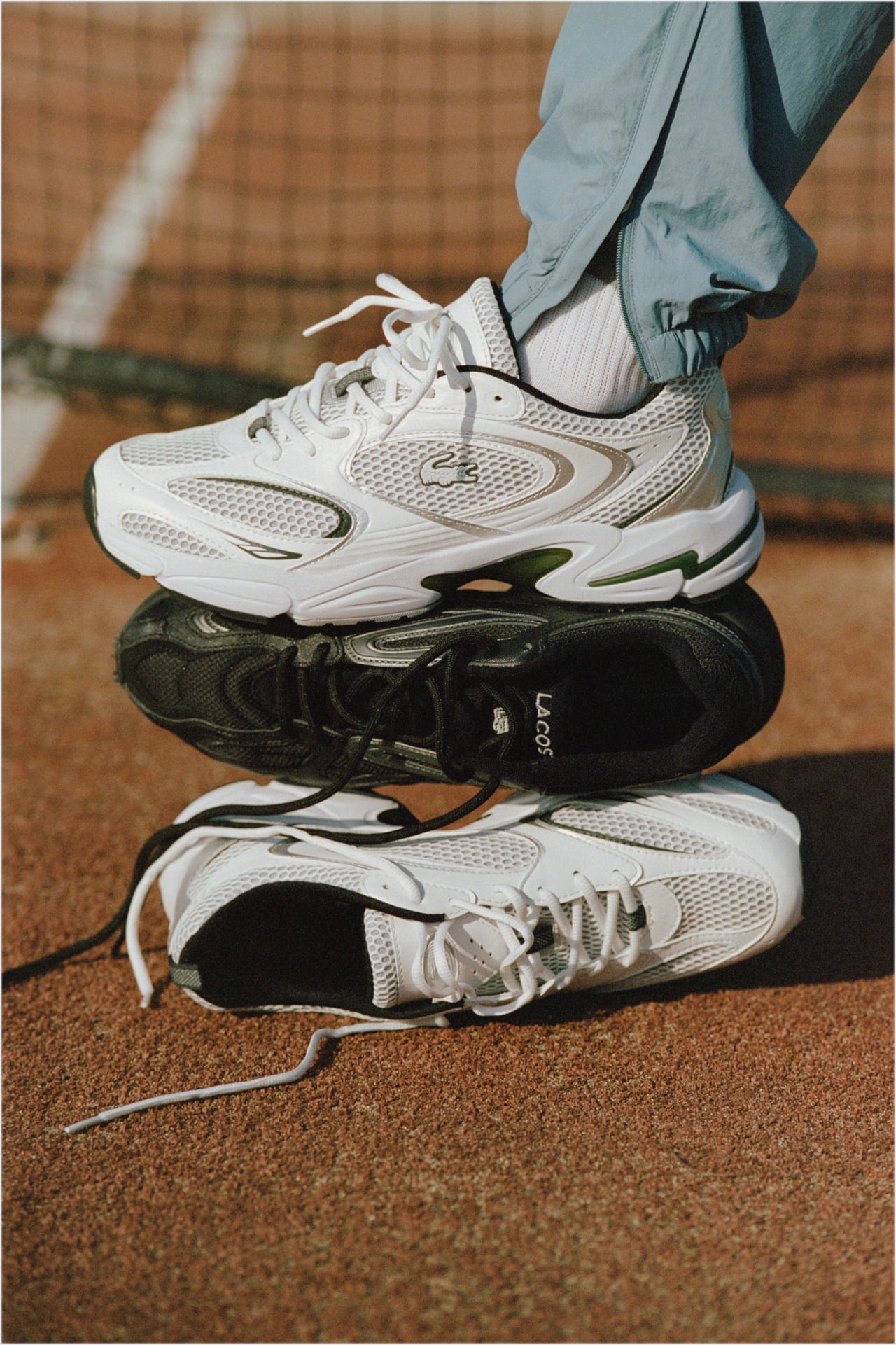 ラコステ」の人気スニーカーを限定カラーで！「アダム エ ロペ」が