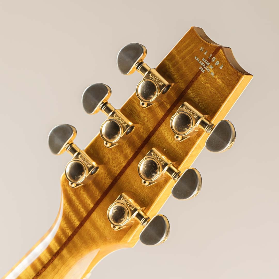 H-555 Amber: エレキギター｜三木楽器公式通販サイト