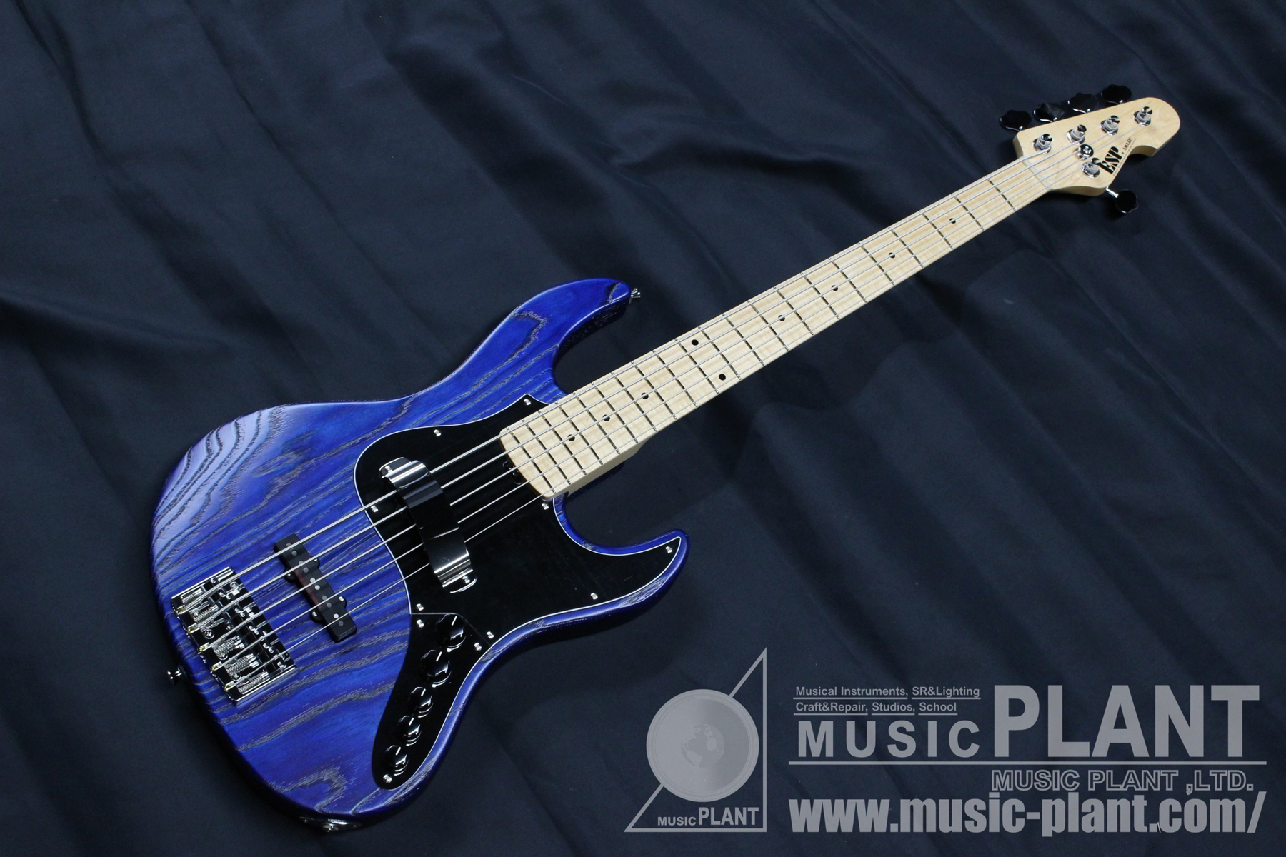 ESP DRIFTWOODシリーズ 5弦エレキベースAMAZE-AS-SL5/M Driftwood Blue
