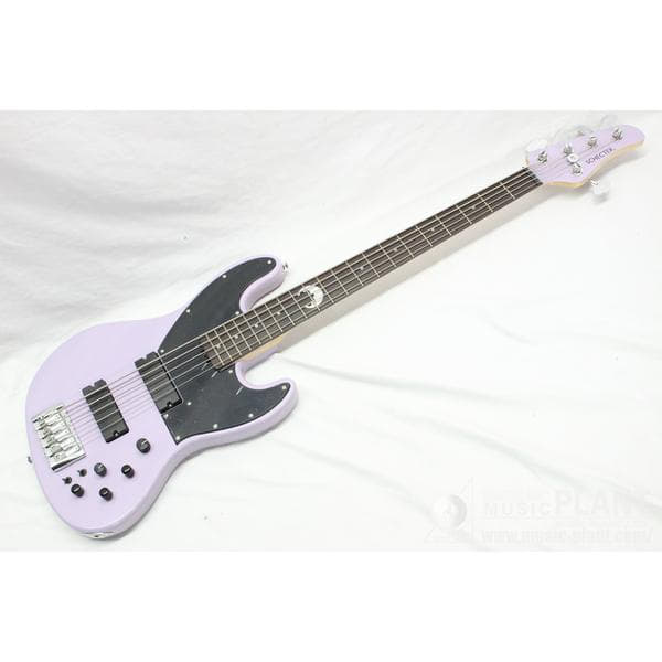 ESP DRIFTWOODシリーズ 5弦エレキベースAMAZE-AS-SL5/M Driftwood Blue