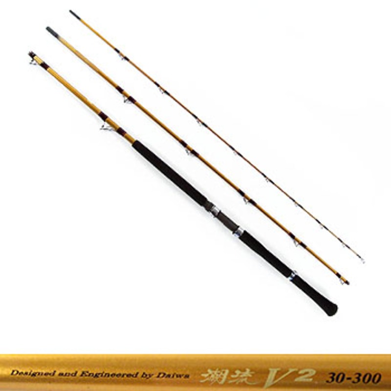 ダイワ(Daiwa) 潮流V2 30-300 05288782｜アウトドア用品・釣り具通販は