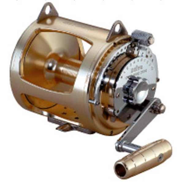 ダイワ(Daiwa) シーライントーナメント 80W 00607728｜アウトドア用品