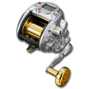 983_1.jpg?20081007175900