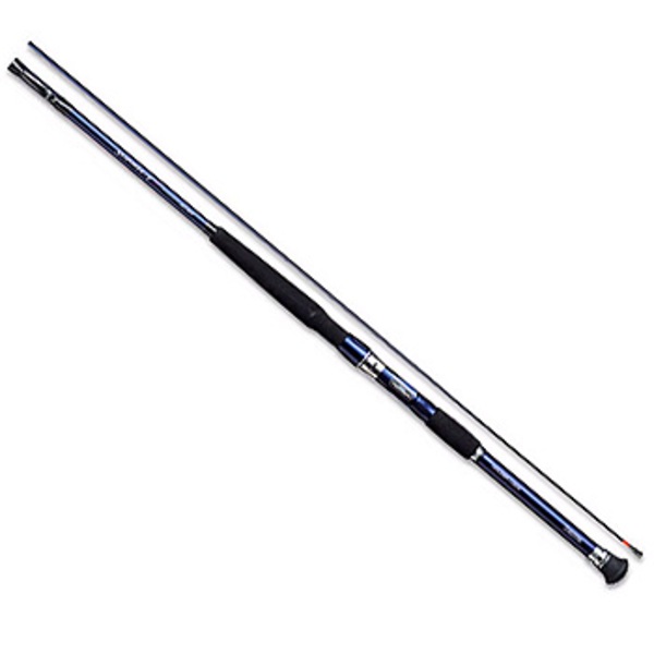 ダイワ(Daiwa) インターライン シーパワーT2 05290424｜アウトドア用品