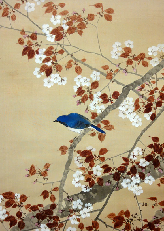菊池芳文 桜花小禽/Web書画ミュージアム