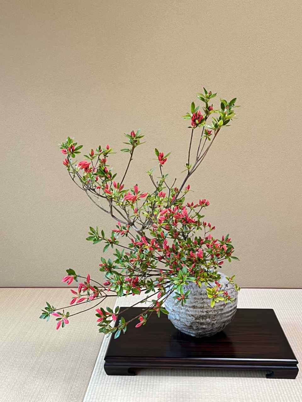 NHK文化センター｜好奇心の、その先へ NHKカルチャー