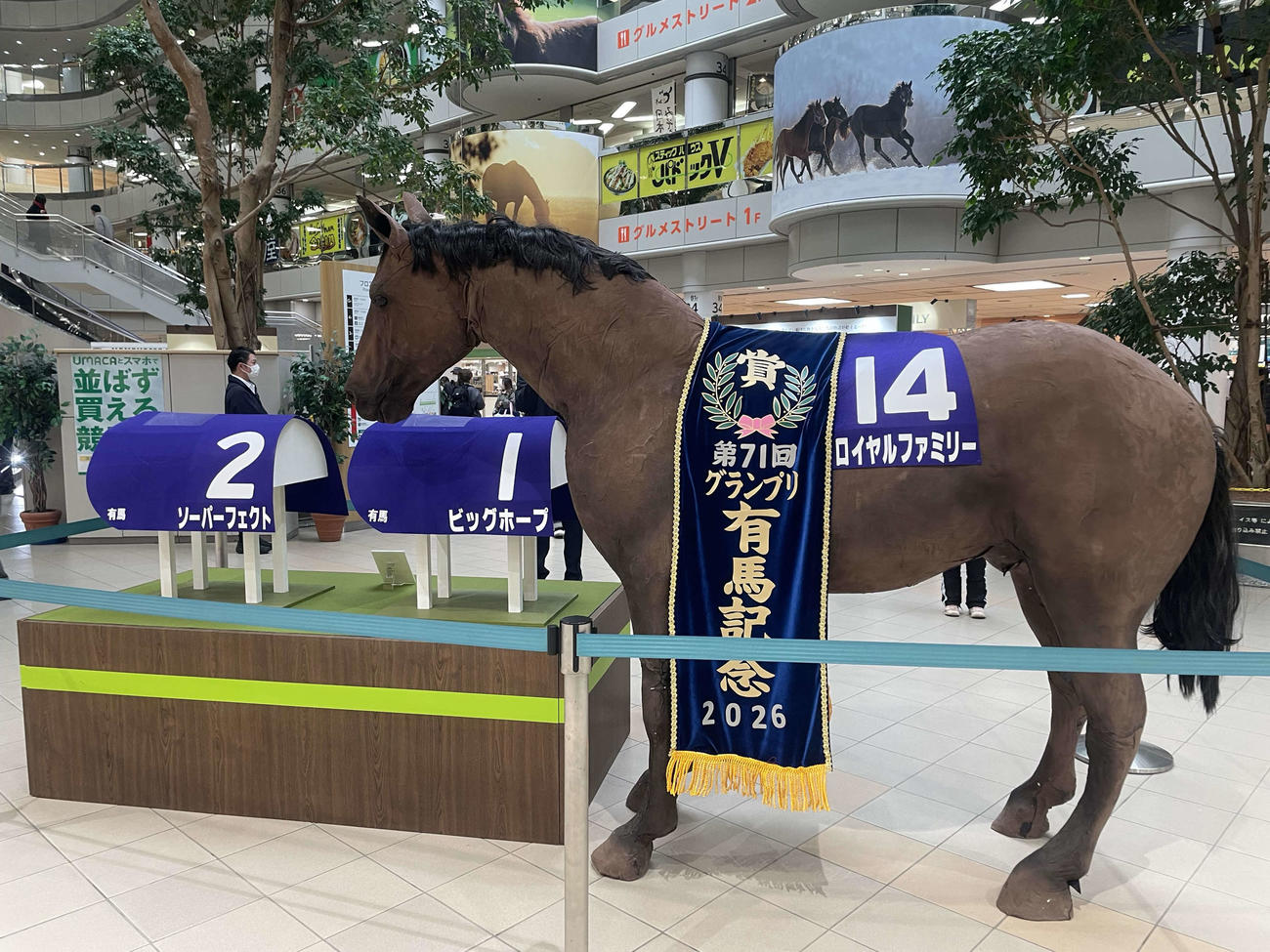 来年の有馬記念を勝った馬”ロイヤルファミリーが中山競馬場に登場