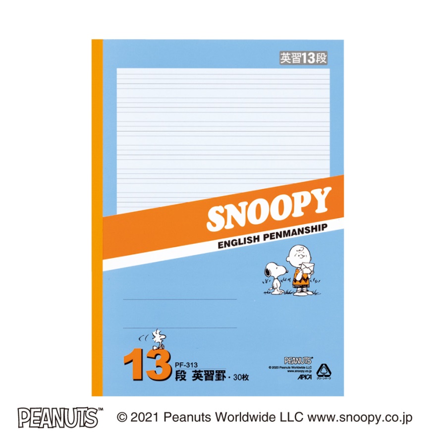 超激レア アピカ株式会社 非売品 ノート