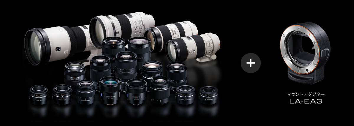 α6500 特長 : 進化した4Dフォーカス | デジタル一眼カメラα（アルファ